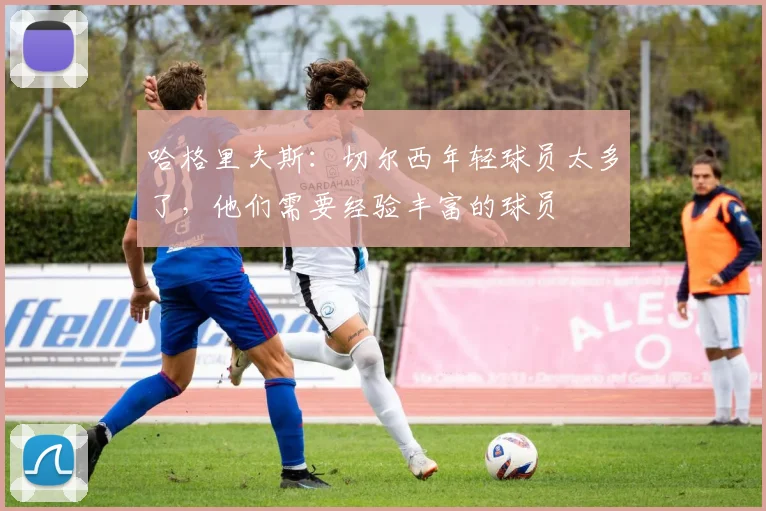 哈格里夫斯：切尔西年轻球员太多了，他们需要经验丰富的球员