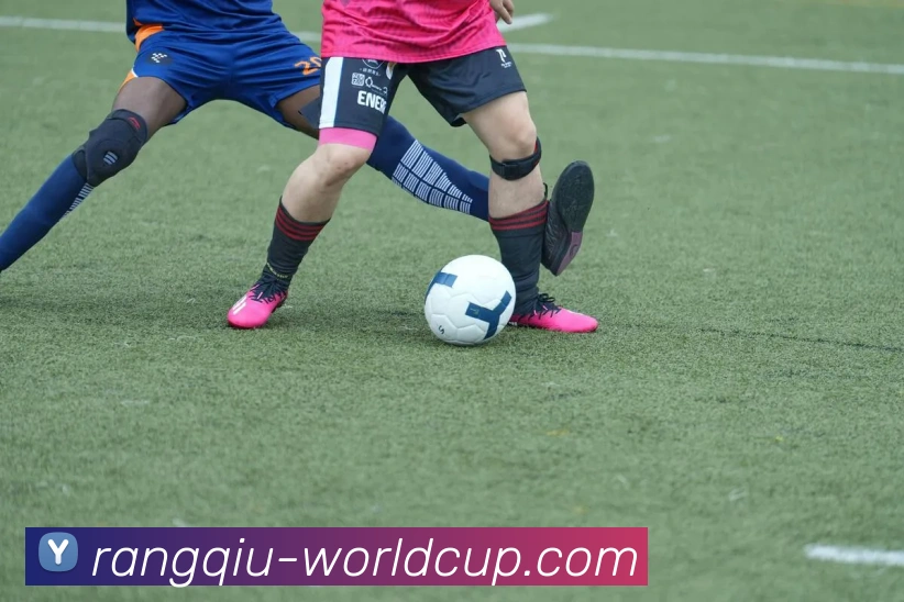 App Interface Preview